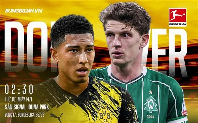 Đá gà trực tuyến ff168 info